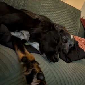 Meet your Posher, James